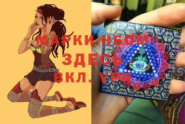 бошки Бронницы